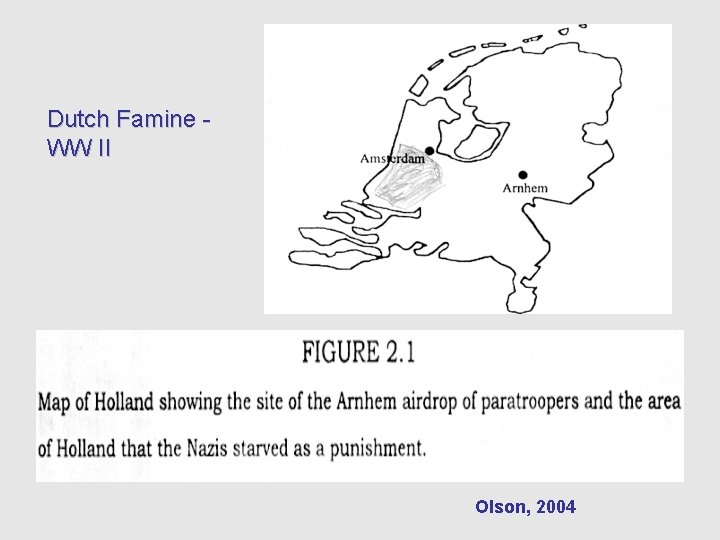 Dutch Famine WW II Olson, 2004 