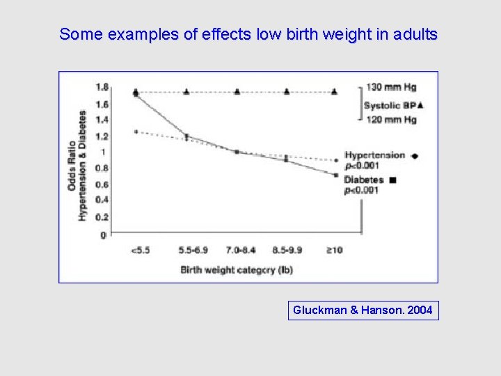 Some examples of effects low birth weight in adults Gluckman & Hanson. 2004 