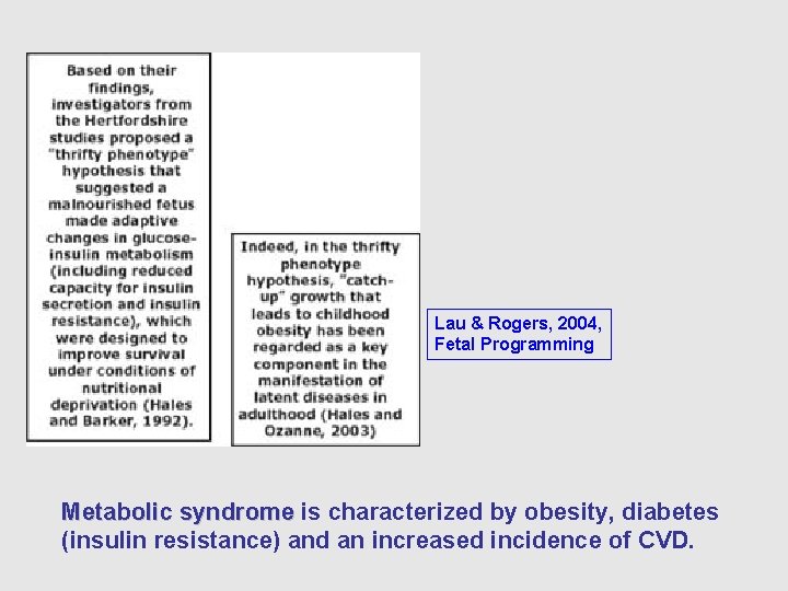 Lau & Rogers, 2004, Fetal Programming Metabolic syndrome is characterized by obesity, diabetes (insulin