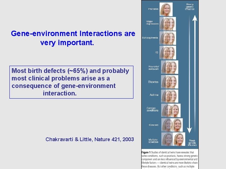Gene-environment Interactions are very important. Most birth defects (~65%) and probably most clinical problems