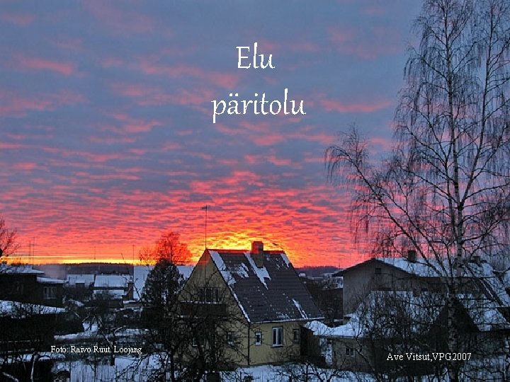 Elu päritolu Foto Loojang. Foto: Raivo Ruut. Ave Vitsut, VPG 2007 