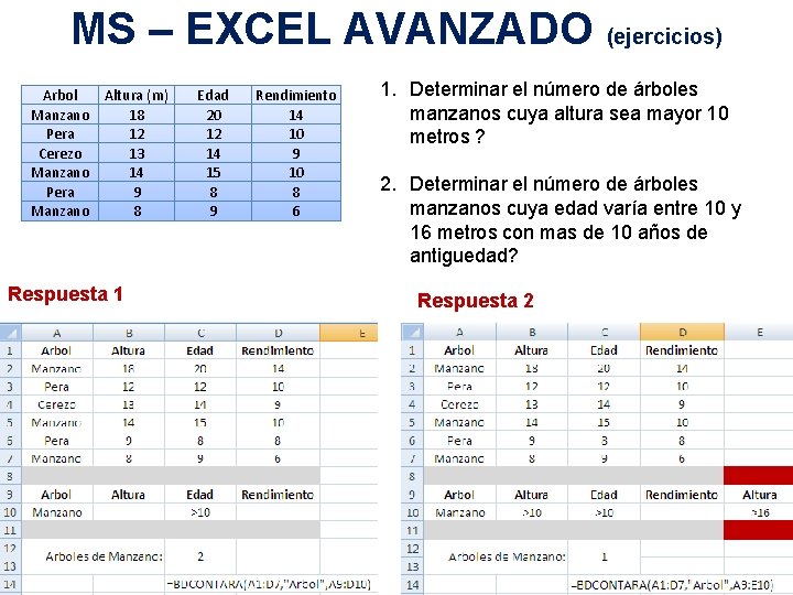 MS – EXCEL AVANZADO (ejercicios) Arbol Manzano Pera Cerezo Manzano Pera Manzano Altura (m)