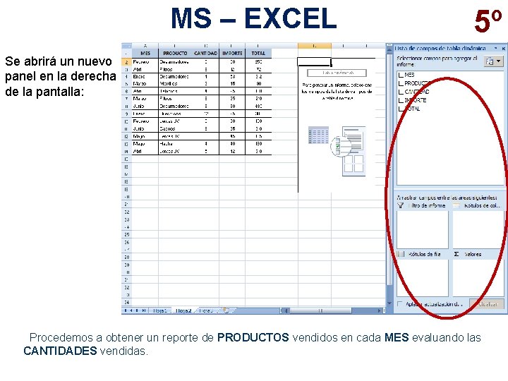 MS – EXCEL 5º Se abrirá un nuevo panel en la derecha de la