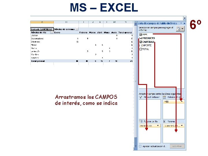 MS – EXCEL 6º Arrastramos los CAMPOS de interés, como se indica 