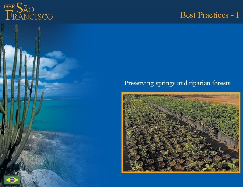 ÃO S FRANCISCO GEF Best Practices - I Preserving springs and riparian forests 