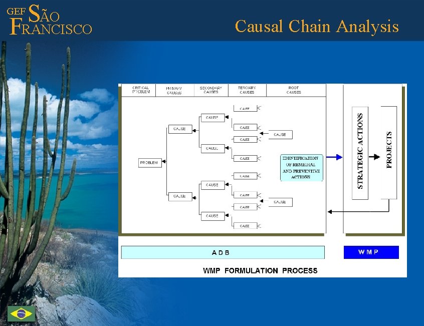 ÃO S FRANCISCO GEF Causal Chain Analysis 