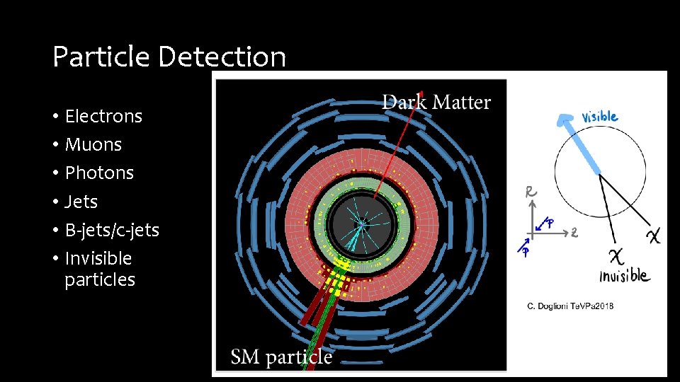 Particle Detection • Electrons • Muons • Photons • Jets • B-jets/c-jets • Invisible