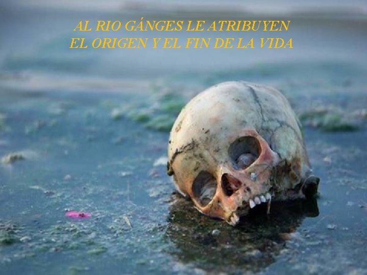AL RIO GÁNGES LE ATRIBUYEN EL ORIGEN Y EL FIN DE LA VIDA 