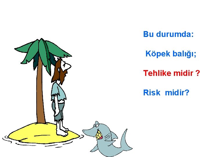 Bu durumda: Köpek balığı; Tehlike midir ? Risk midir? 