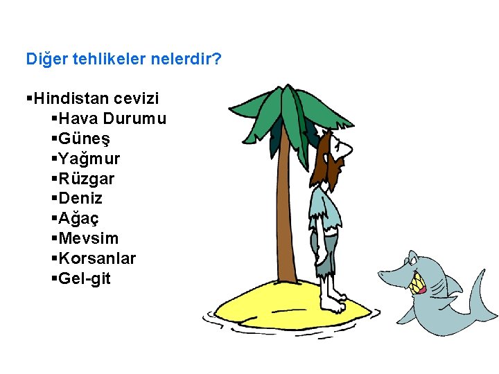 Diğer tehlikeler nelerdir? §Hindistan cevizi §Hava Durumu §Güneş §Yağmur §Rüzgar §Deniz §Ağaç §Mevsim §Korsanlar