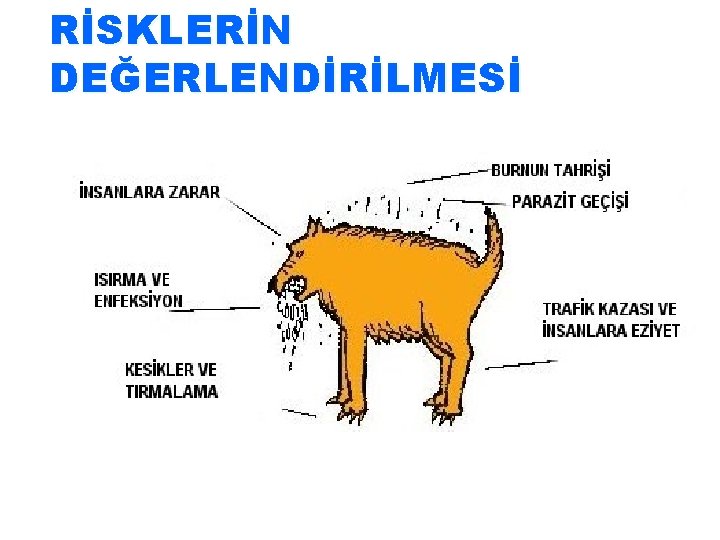 RİSKLERİN DEĞERLENDİRİLMESİ 