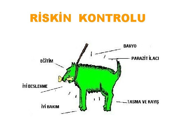 RİSKİN KONTROLU 