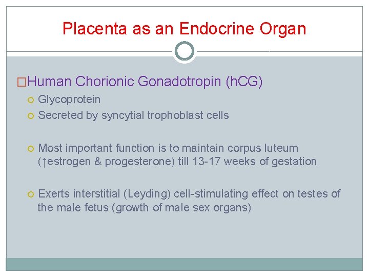 Placenta as an Endocrine Organ �Human Chorionic Gonadotropin (h. CG) Glycoprotein Secreted by syncytial Placenta as an Endocrine Organ �Human Chorionic Gonadotropin (h. CG) Glycoprotein Secreted by syncytial