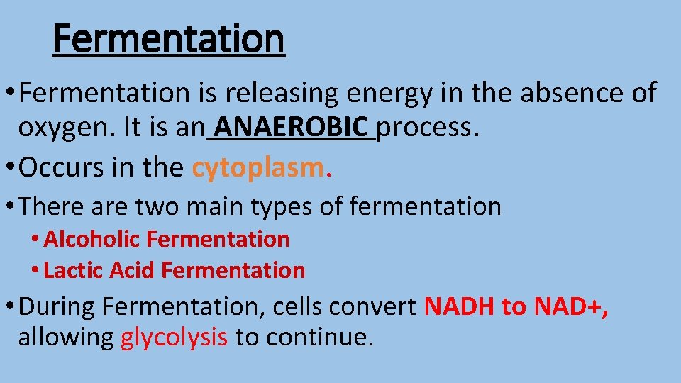 Fermentation • Fermentation is releasing energy in the absence of oxygen. It is an