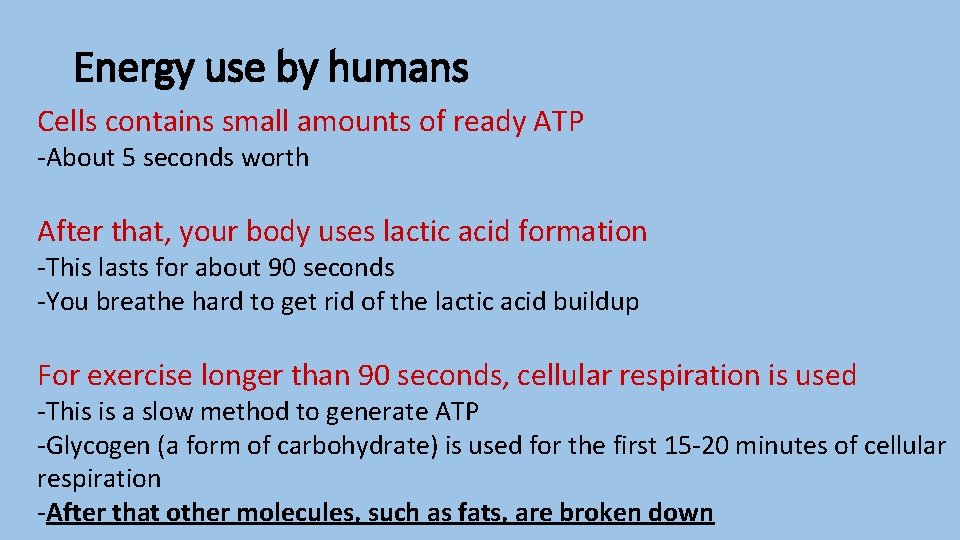Energy use by humans Cells contains small amounts of ready ATP -About 5 seconds
