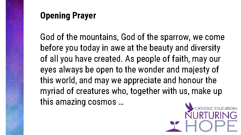 Opening Prayer God of the mountains, God of the sparrow, we come before you