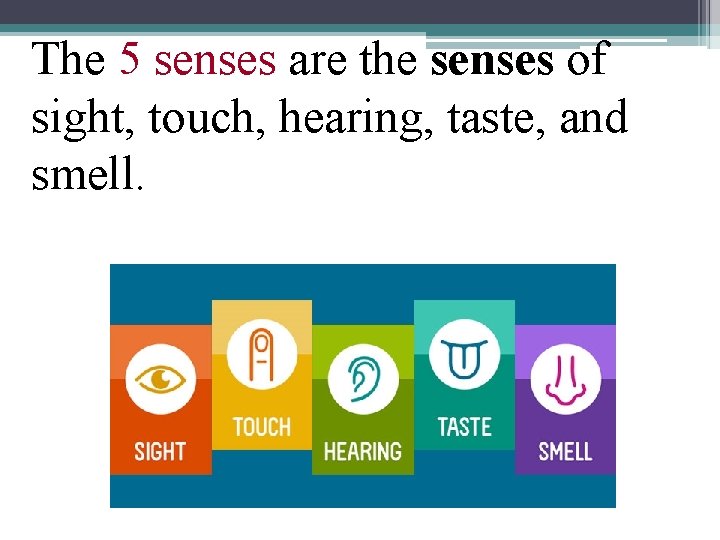 The 5 senses are the senses of sight, touch, hearing, taste, and smell. 