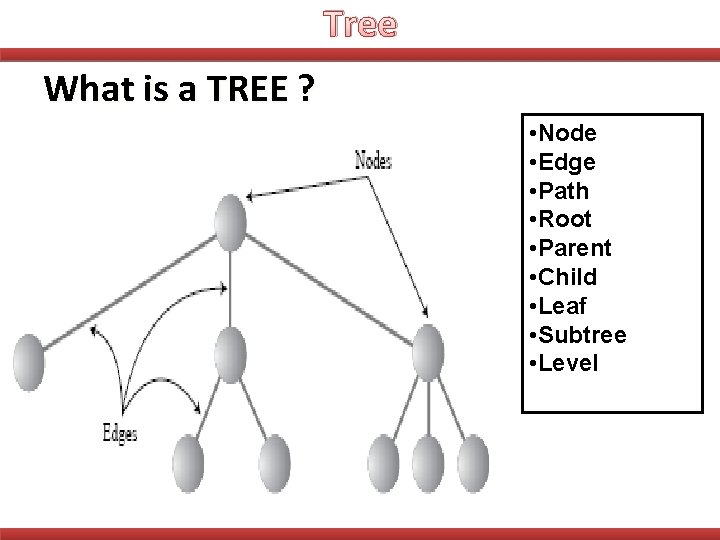 Tree What is a TREE ? • Node • Edge • Path • Root