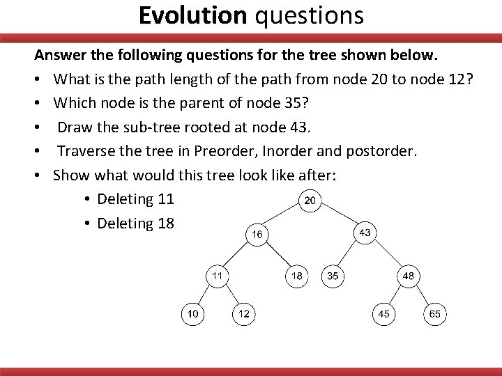 Evolution questions Answer the following questions for the tree shown below. • What is