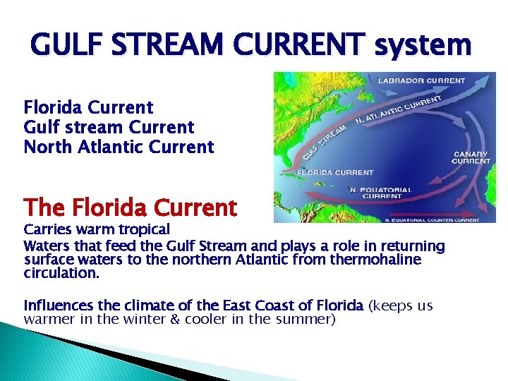 GULF STREAM CURRENT system Florida Current Gulf stream Current North Atlantic Current The Florida