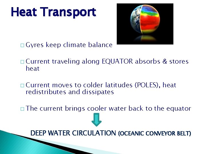 Heat Transport � Gyres keep climate balance � Current heat traveling along EQUATOR absorbs