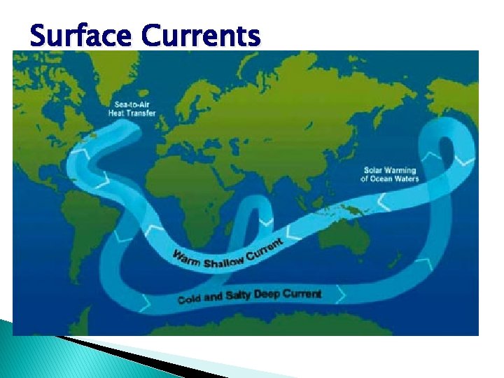 Surface Currents �Controlled by three factors • Global winds ◦ Coriolis Effect ◦ Continental