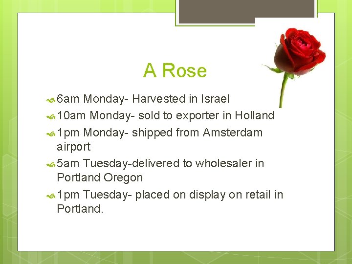 A Rose 6 am Monday- Harvested in Israel 10 am Monday- sold to exporter