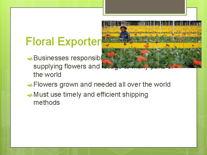 Floral Exporters Businesses responsible for buying and supplying flowers and foliage to many parts
