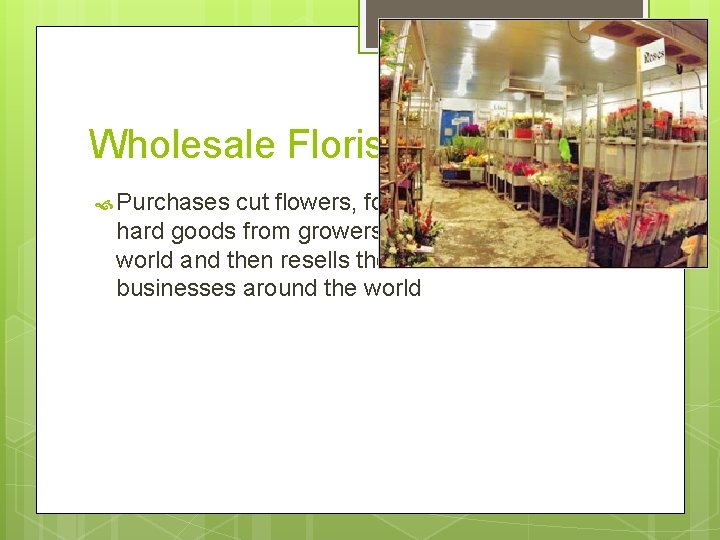 Wholesale Florist Purchases cut flowers, foliage, plants and hard goods from growers/suppliers around the