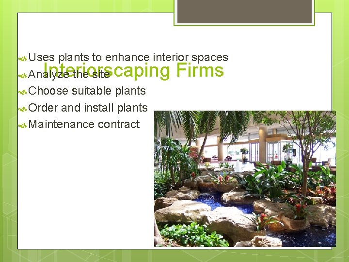  Uses plants to enhance interior spaces Analyze the site Choose suitable plants Order