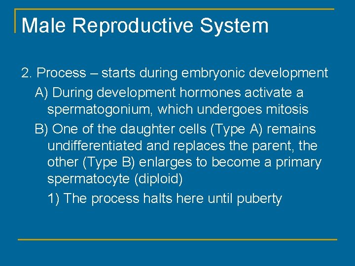 Male Reproductive System 2. Process – starts during embryonic development A) During development hormones