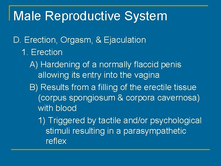 Male Reproductive System D. Erection, Orgasm, & Ejaculation 1. Erection A) Hardening of a