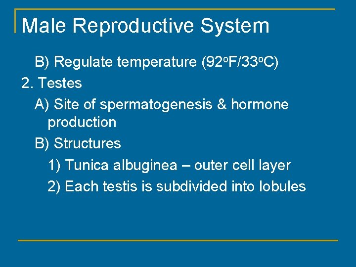 Male Reproductive System B) Regulate temperature (92 o. F/33 o. C) 2. Testes A)