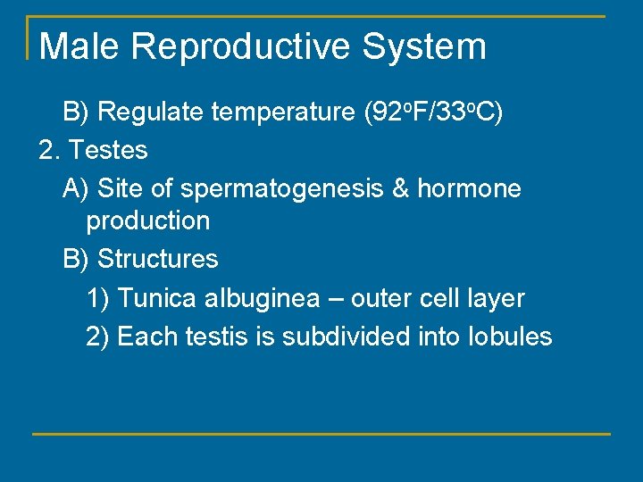 Male Reproductive System B) Regulate temperature (92 o. F/33 o. C) 2. Testes A)