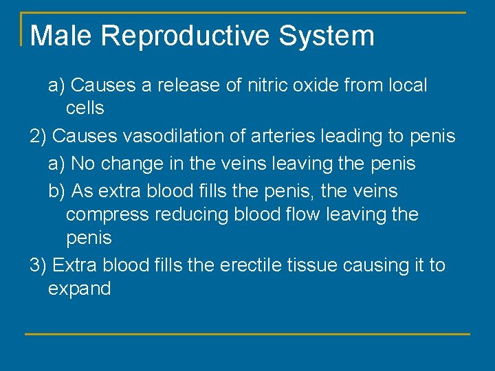 Male Reproductive System a) Causes a release of nitric oxide from local cells 2)