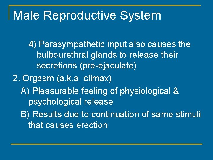 Male Reproductive System 4) Parasympathetic input also causes the bulbourethral glands to release their