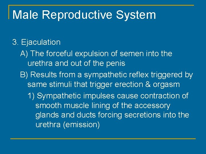 Male Reproductive System 3. Ejaculation A) The forceful expulsion of semen into the urethra