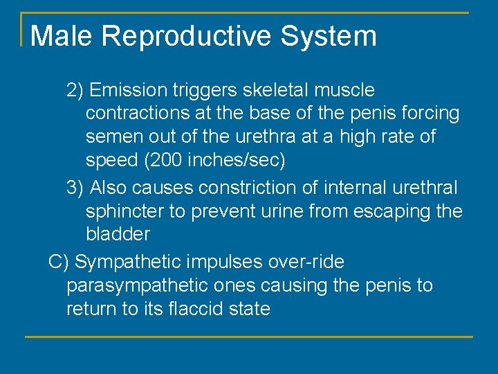 Male Reproductive System 2) Emission triggers skeletal muscle contractions at the base of the