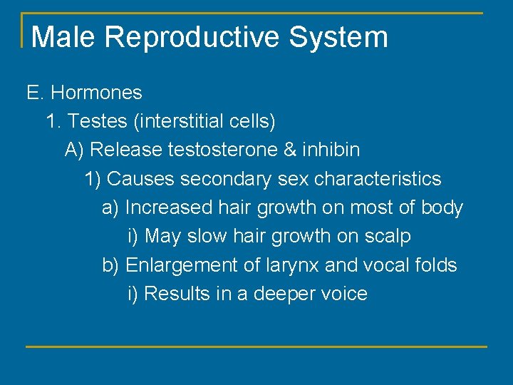 Male Reproductive System E. Hormones 1. Testes (interstitial cells) A) Release testosterone & inhibin