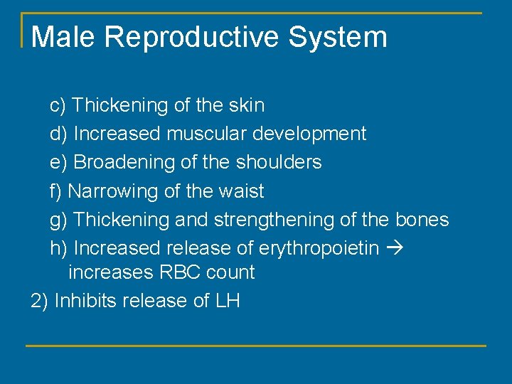 Male Reproductive System c) Thickening of the skin d) Increased muscular development e) Broadening