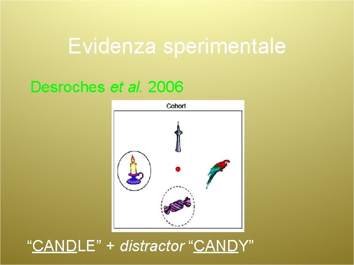 Evidenza sperimentale Desroches et al. 2006 “CANDLE” + distractor “CANDY” 