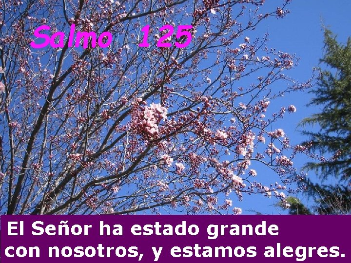 Salmo 125 El Señor ha estado grande con nosotros, y estamos alegres. 