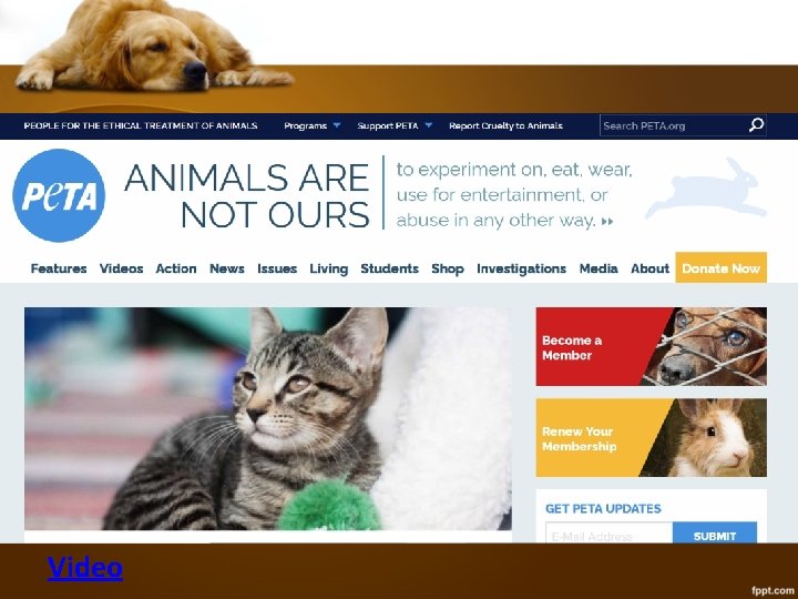 Slide Title • • Make Effective Presentations Using Awesome Backgrounds Engage your Audience Capture