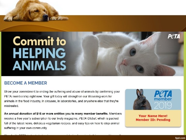 Slide Title • • Make Effective Presentations Using Awesome Backgrounds Engage your Audience Capture