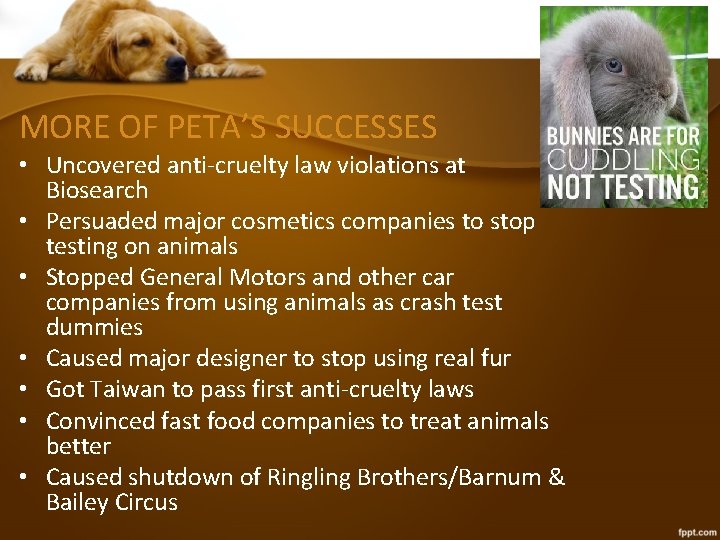 MORE OF PETA’S SUCCESSES • Uncovered anti-cruelty law violations at Biosearch • Persuaded major