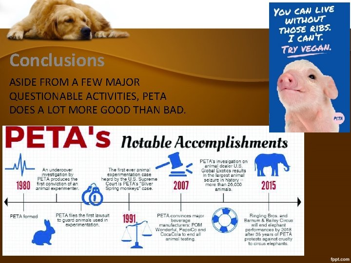 Conclusions ASIDE FROM A FEW MAJOR QUESTIONABLE ACTIVITIES, PETA DOES A LOT MORE GOOD