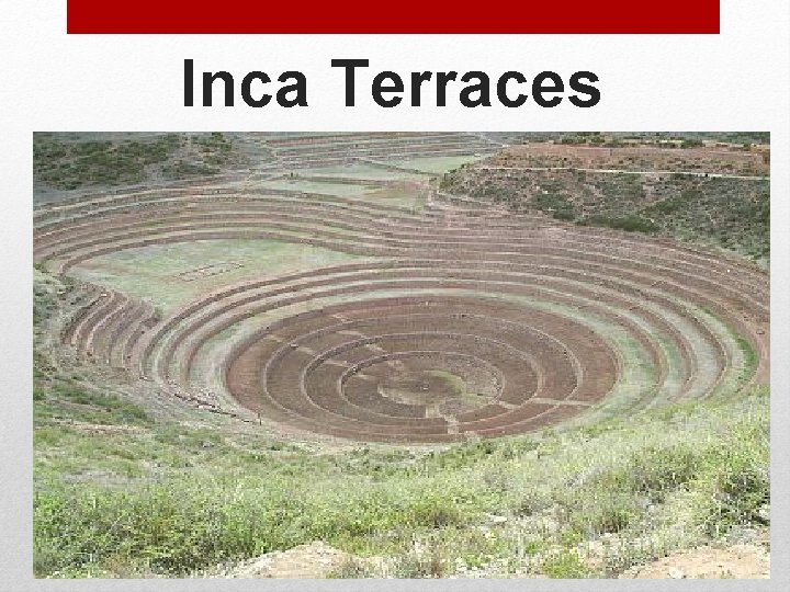 Inca Terraces 