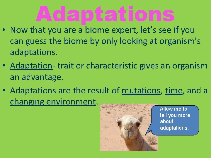 Adaptations • Now that you are a biome expert, let’s see if you can