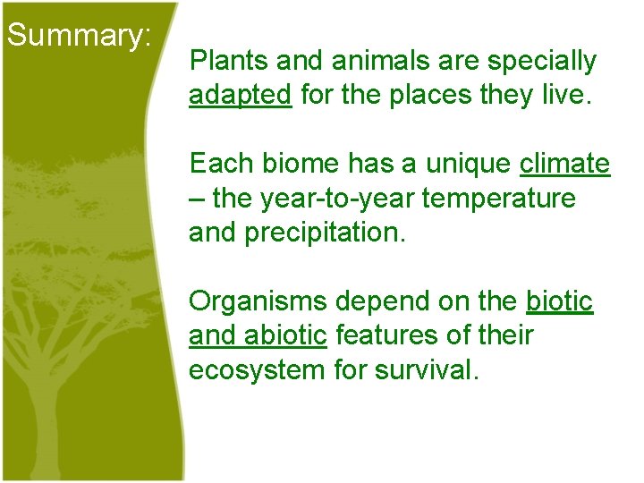 Summary: Plants and animals are specially adapted for the places they live. Each biome