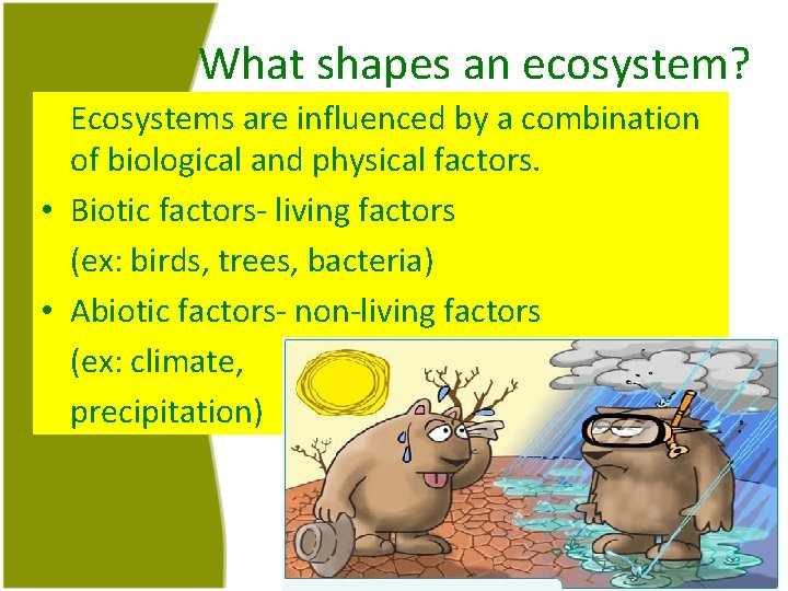 What shapes an ecosystem? Ecosystems are influenced by a combination of biological and physical